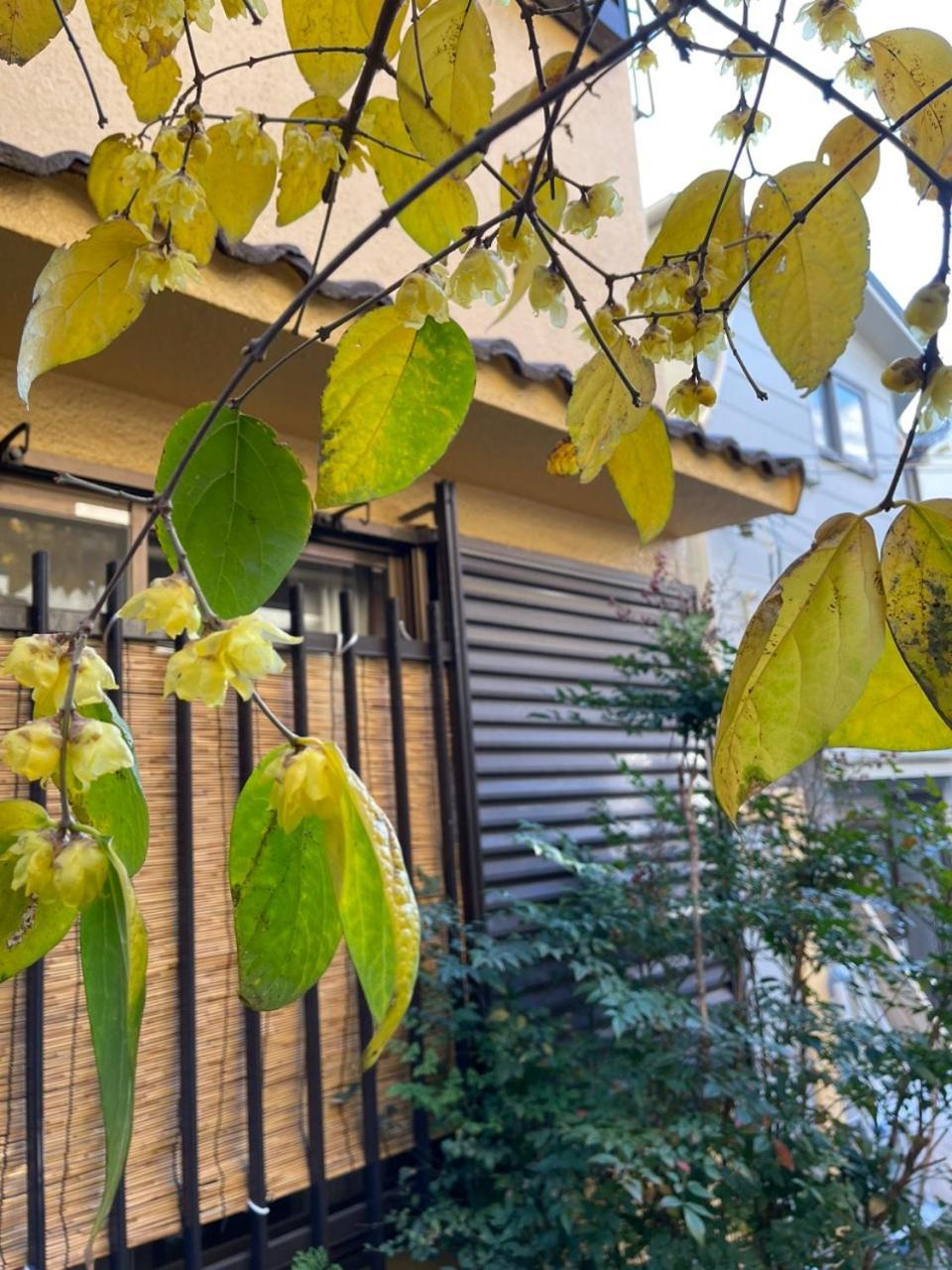Annam Stay Osaka - Whole Three Story House Rental Exterior foto